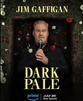 《吉姆·加菲根：深灰》：中年老爸的爆笑吐槽，历史性思考与炸鸡段子的完美结合，比刑事侦缉档案2还精彩?